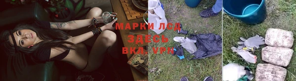 a pvp Абаза