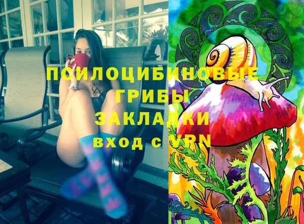 a pvp Абаза